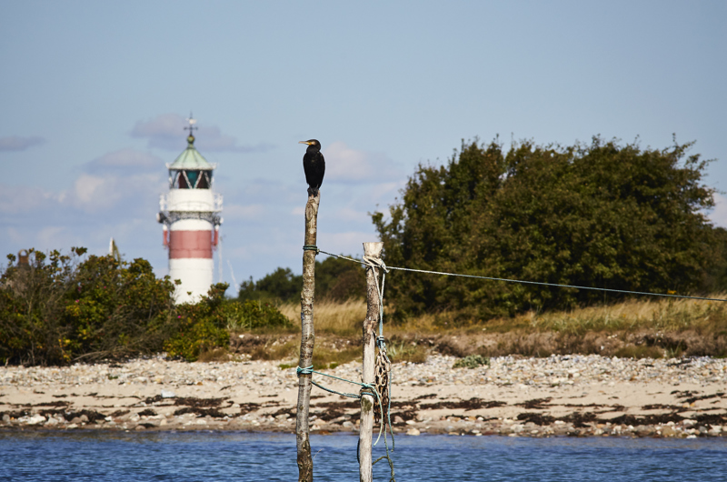 Udvikling af Aarø Naturø i Haderslev Kommune