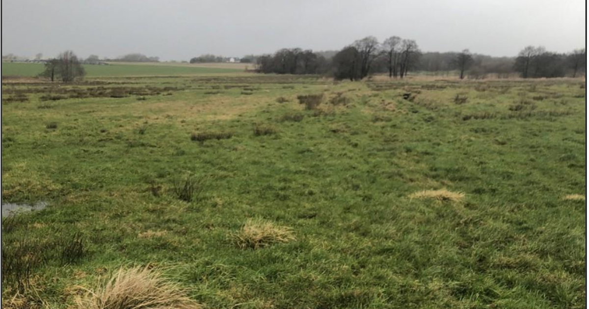 Vådområde ved Fole Bæk | Haderslev Kommune